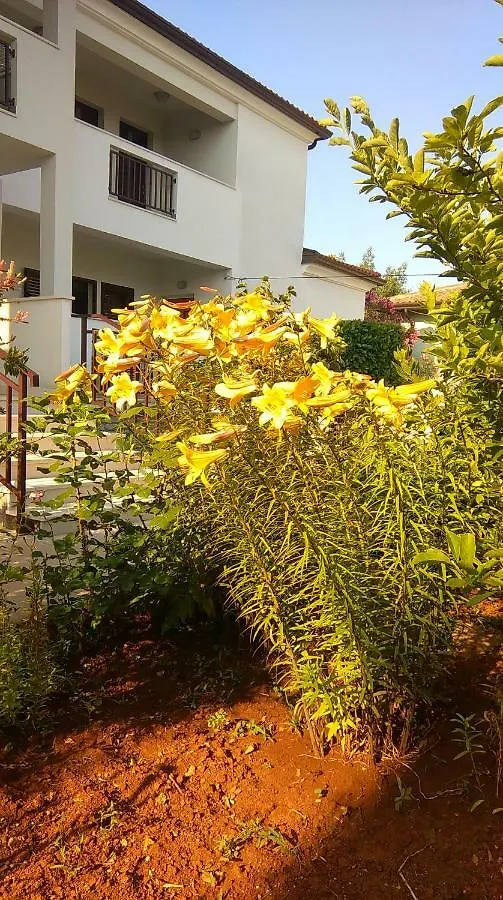 Mimoza Apartment Umag Croatia